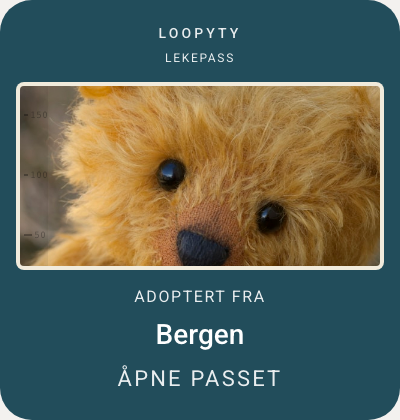 Skjermbilde: lekepasset til en bamse, adoptert fra Bergen